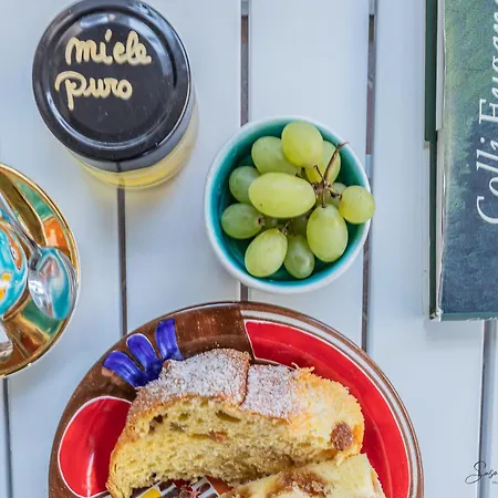 B&B Anis